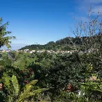 Do Pomar - Self Check-in Vakantiepark Santana (Madeira)